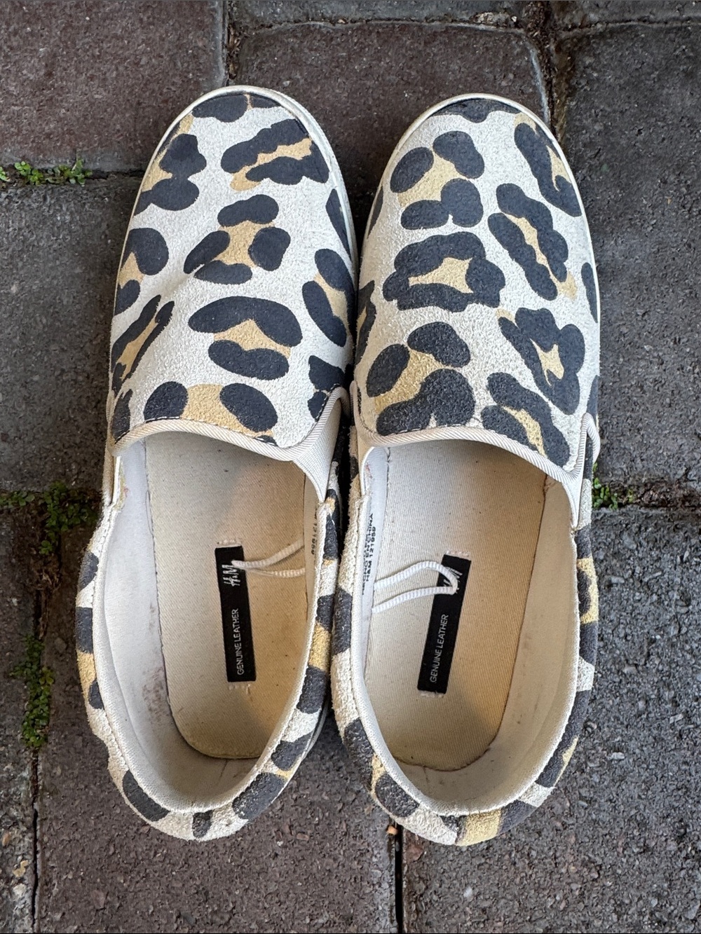 H&M Women's suede Leopard Print Slip-On Sneakers in Beige, Black and Gold